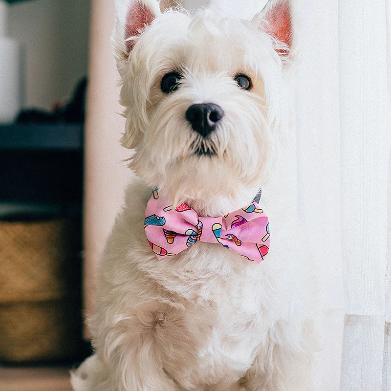 How a Dog Bow Tie Adds Elegance and Charm to Your Pup's Look