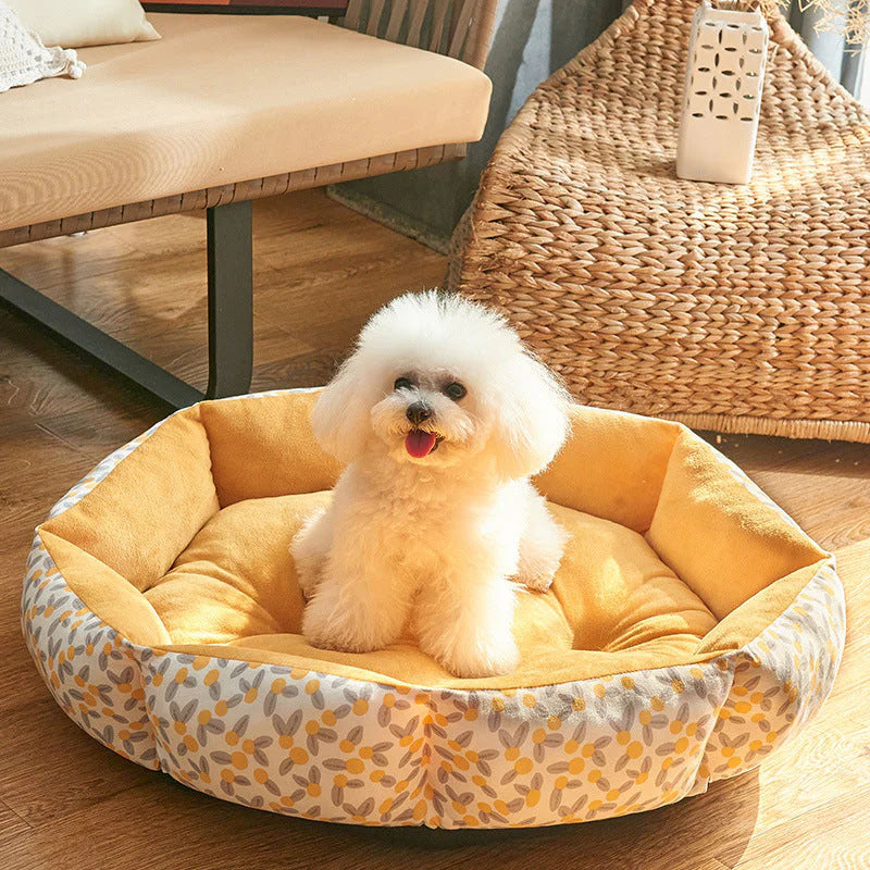The Definitive Guide to Choosing the Best Dog Beds