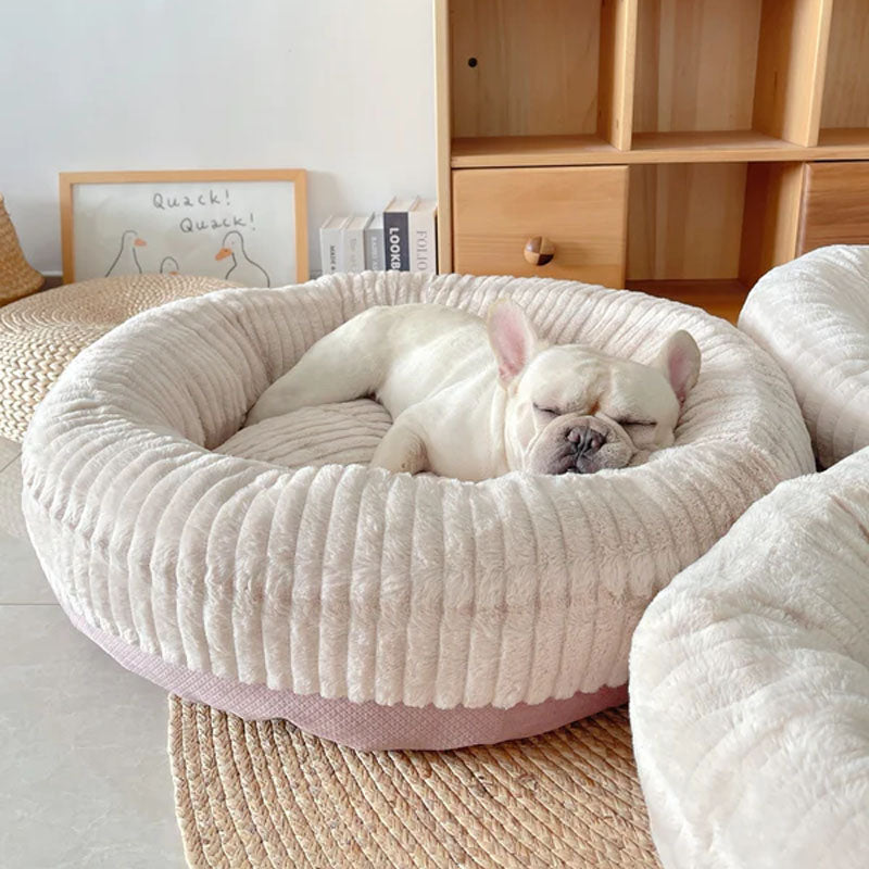 Why Round Dog Beds Provide the Ultimate Comfort for Your Pup