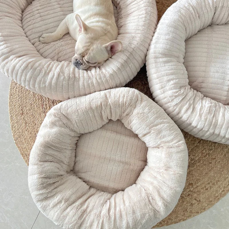 Do Dogs Prefer Round or Square Beds? Decoding Your Pup's Comfort