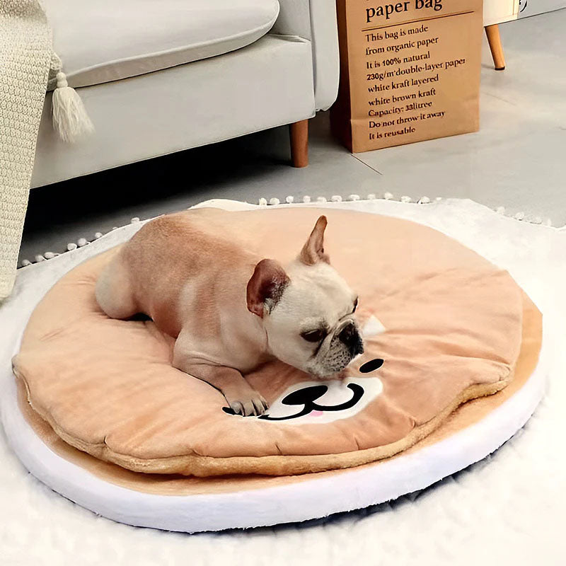 Do Dogs Prefer Hard or Soft Beds? Finding the Right Balance