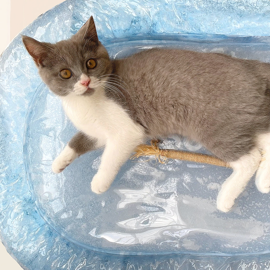 How To Use A Pet Cooling Mat?