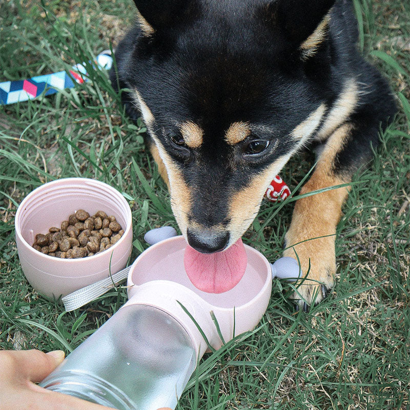 How a Drink Bottle for Dogs Keeps Your Furry Friend Hydrated On-the-Go