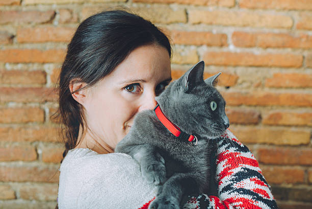 Are Collars Uncomfortable for Cats?