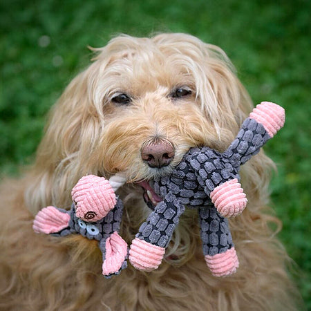 Are Toys Good for Dogs?