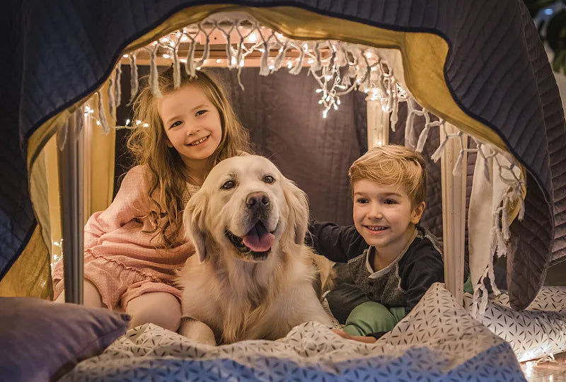 Best Pet Supplies Tent: Your Ultimate Guide to Pet Tents
