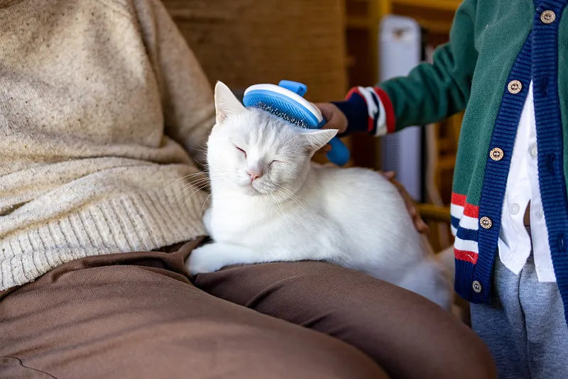 Is combing good for cats?