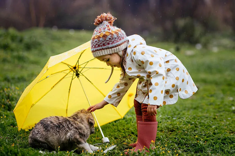 Do Dogs Need Raincoats?