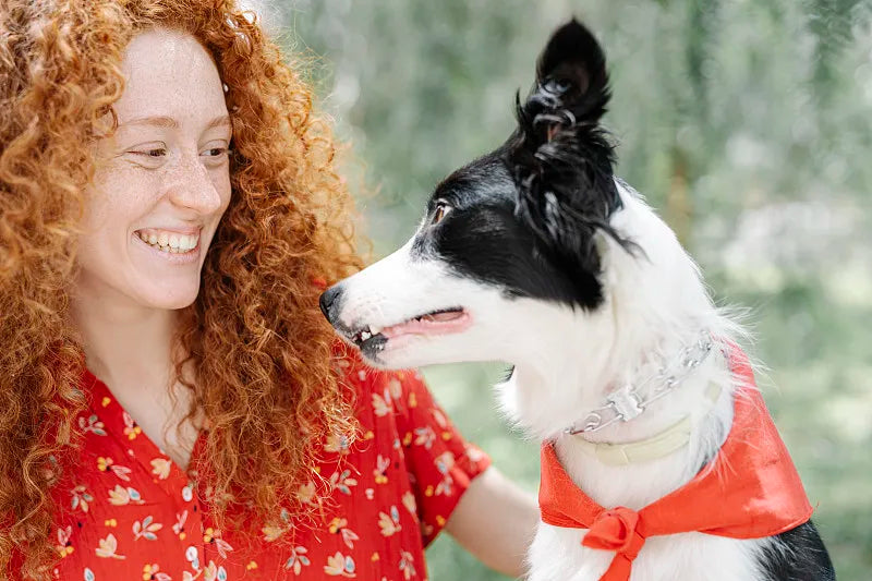 Are Bandanas Good For Dogs?