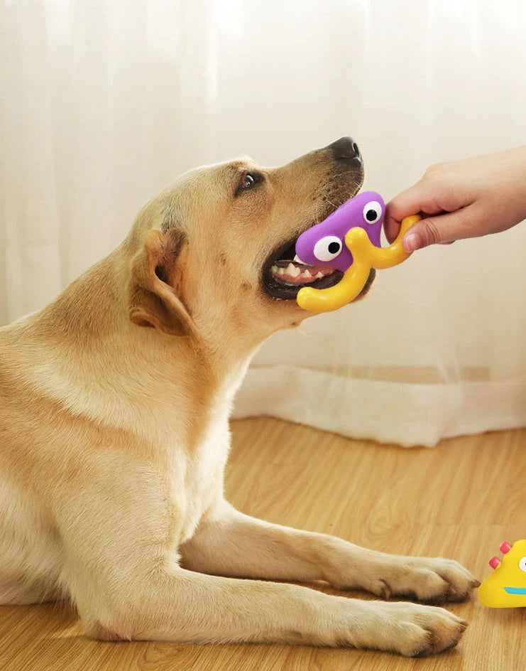 Why Do Dogs Chew Toys? Unveiling Canine Behavior