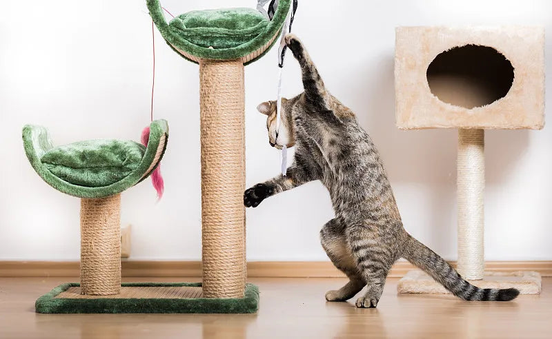 How to Clean a Cat Tree
