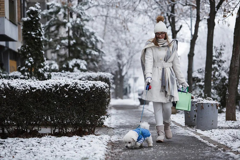 What to Wear When Walking Dog in Winter？