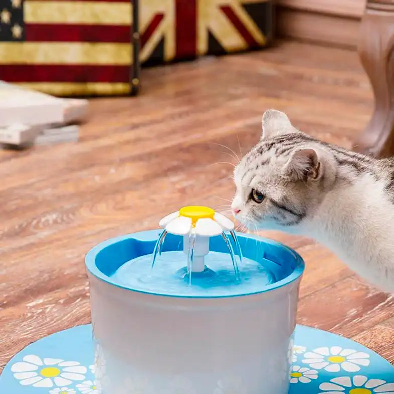 Are Cat Water Fountains Safe