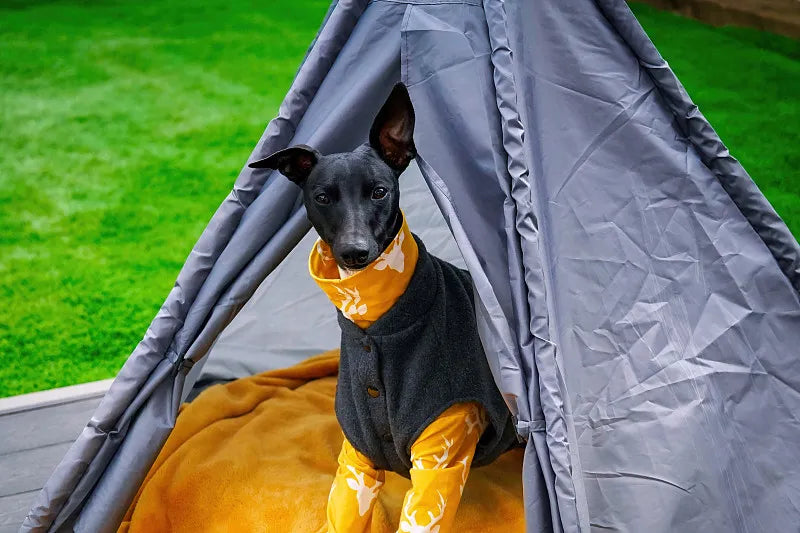The Ultimate Guide to Travel Dog Beds: Comfort and Safety for Your Pup on the Go