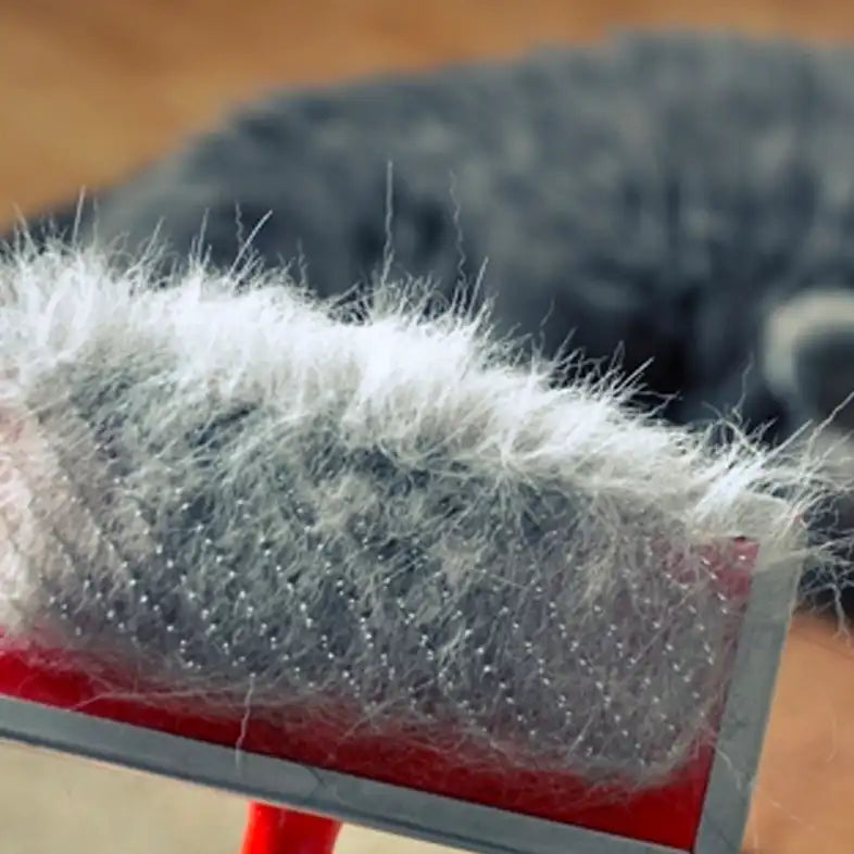 How Long Does Cat Dander Last on Clothes: Unveiling the Facts