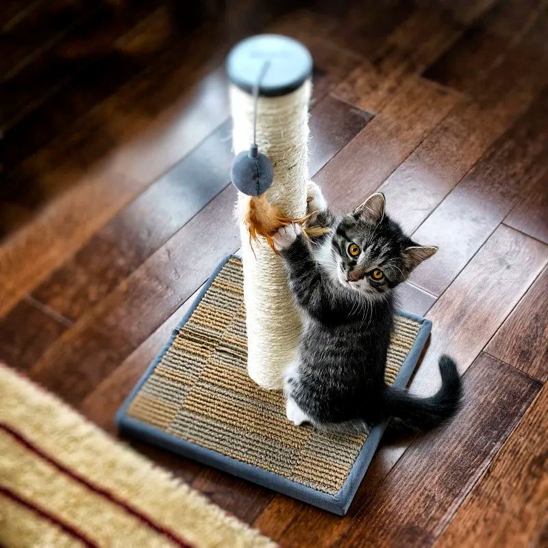 Why Do Cats Like Cat Trees