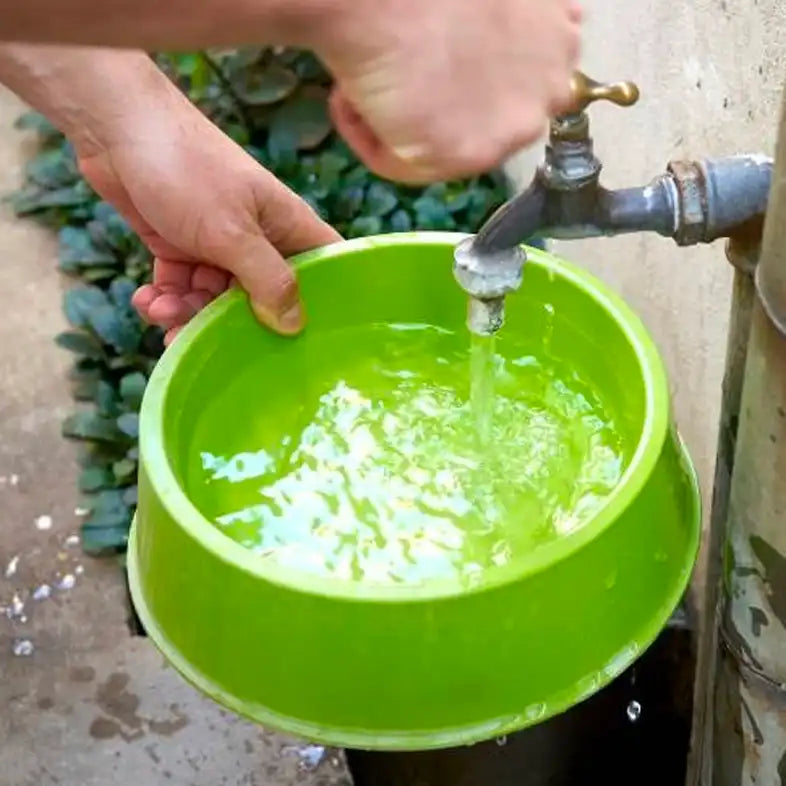 How Often Should You Clean Pet Bowls: A Comprehensive Guide