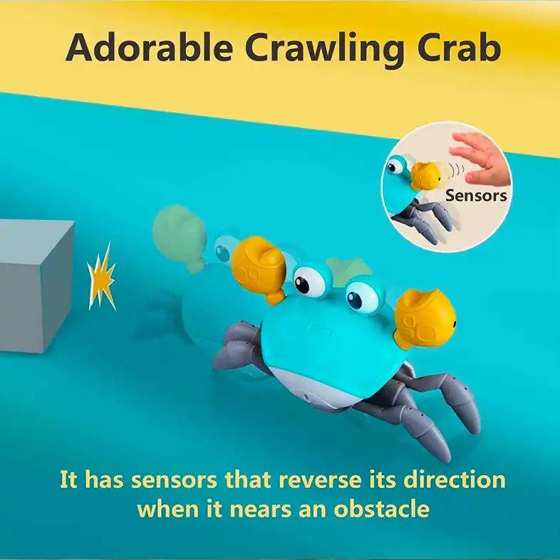 crab dog interactive toy