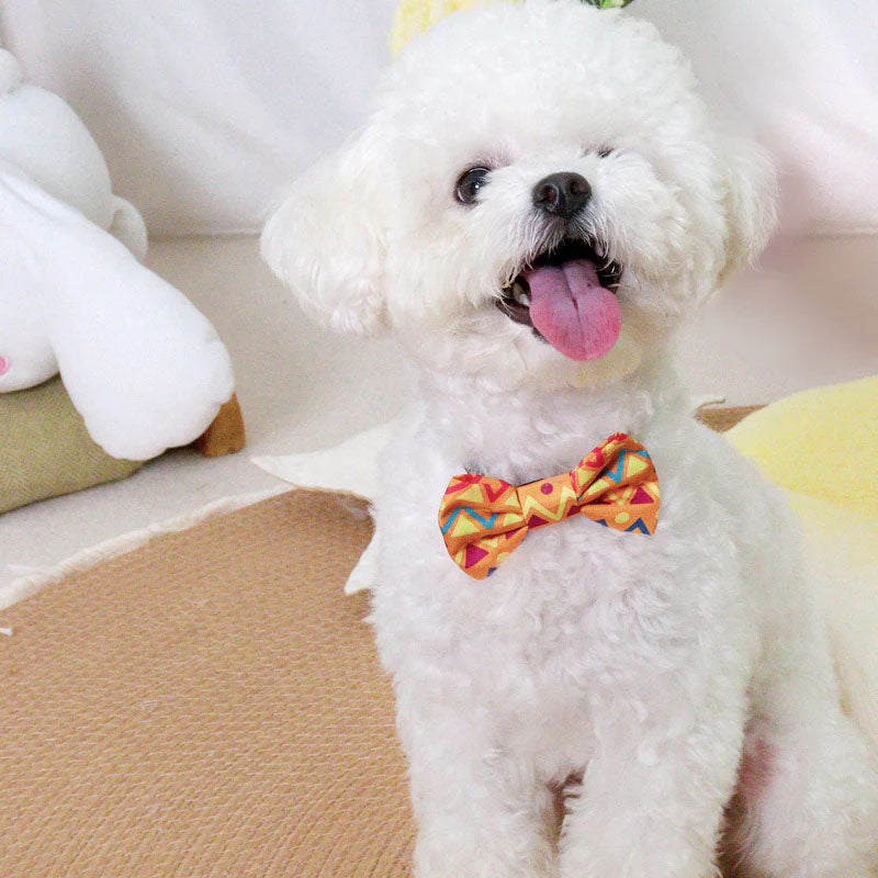 Are Dog Bow Ties Safe and Comfortable for Your Stylish Pup?