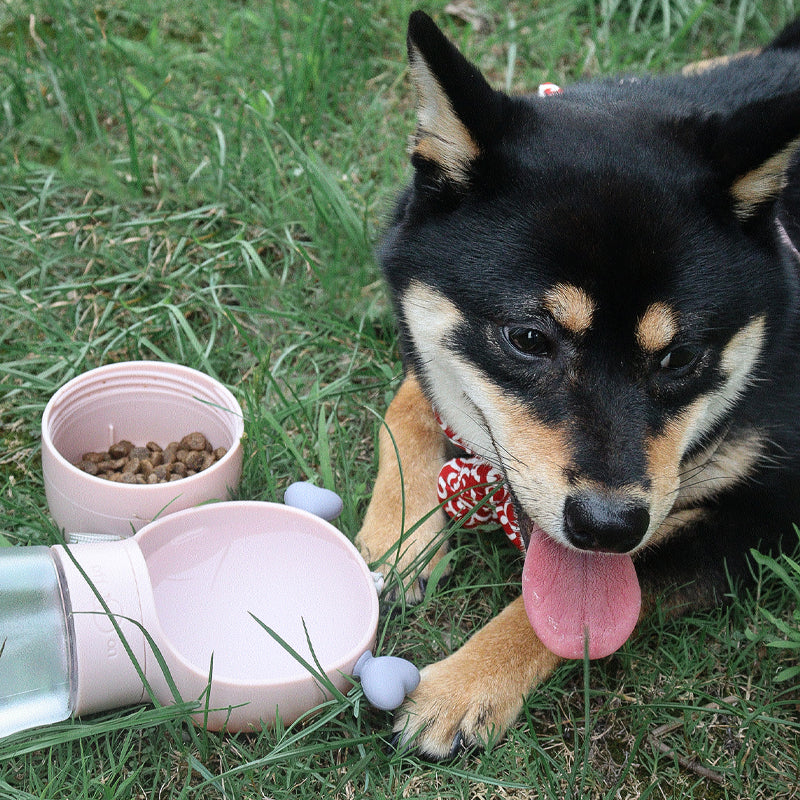 how to train dog to drink from water bottle