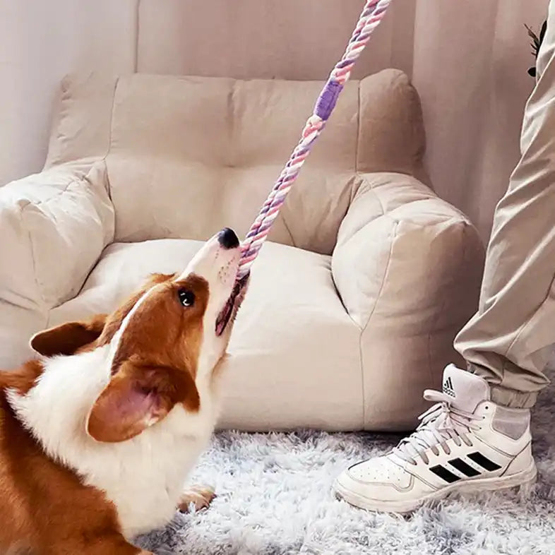 dog rope toys