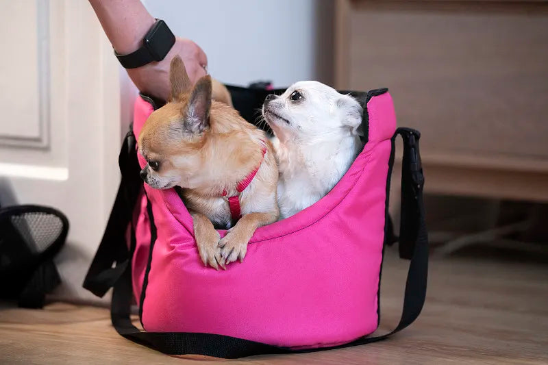 Best Dog Travel Bags: Your Ultimate Guide for Pet-Friendly Adventures