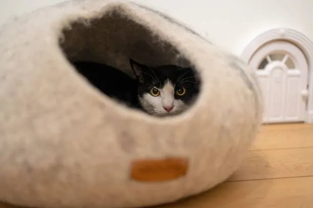 cat bed cave