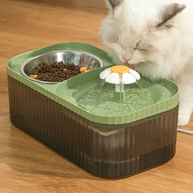 How to Make a Pet Drinking Fountain？