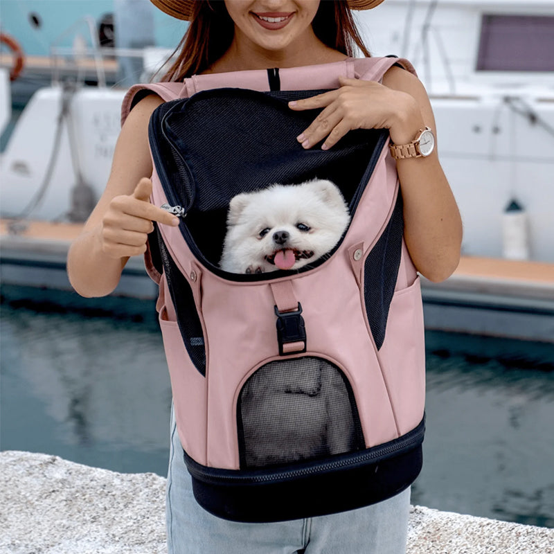 Why do people use pet carriers?