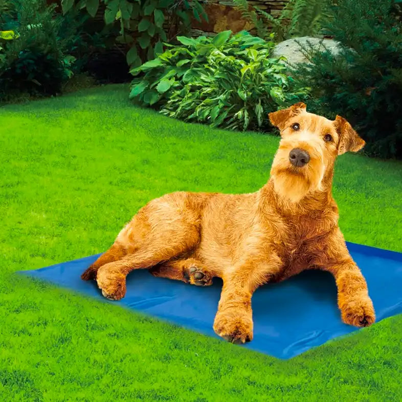 pet cooling mat