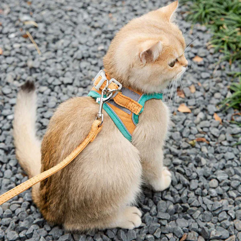 Three-Color Cute Print Suede Cat Harness