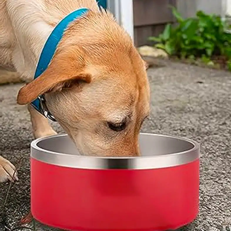 Are Stainless Steel Pet Bowls Safe? A Comprehensive Guide