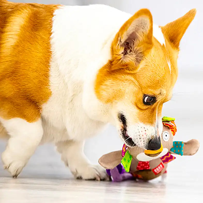 what are interactive dog toys