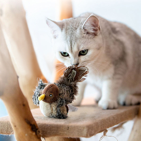 Kauspielzeug für Katzen mit Vogelgeräuschen