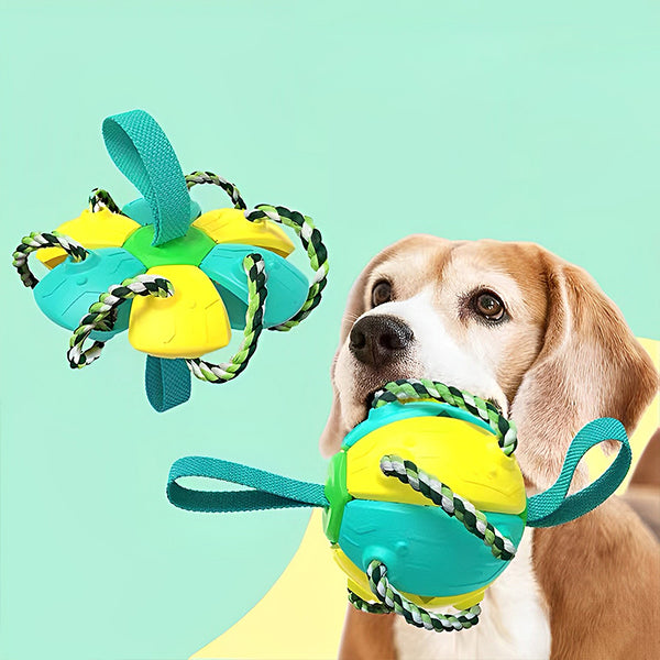 Multi-functional Teething Dog Toy Ball