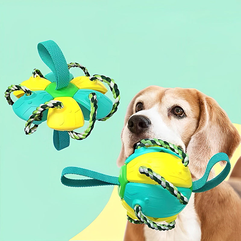 Pet Supplies,Pet Stores | Lovepetin.com