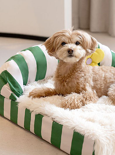 Pet Supplies,Pet Stores | Lovepetin.com