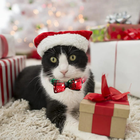 Christmas Series Cat Bow Tie & Scarf