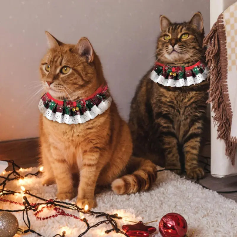 Christmas Series Cat Bow Tie & Scarf