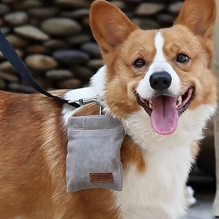 Canvas Dog Treat Bag