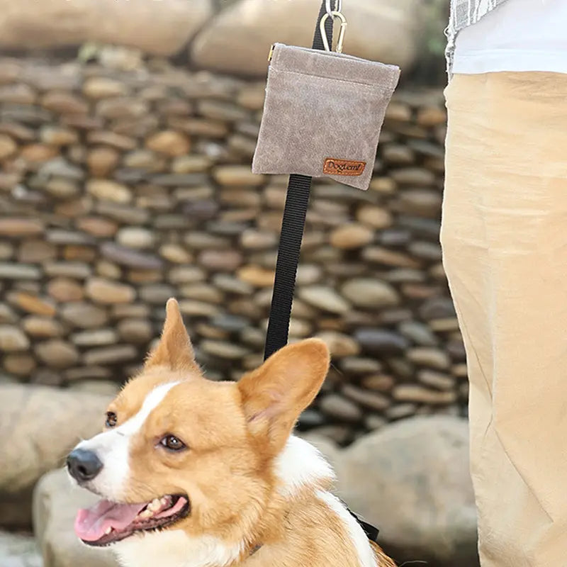 Canvas Dog Treat Bag