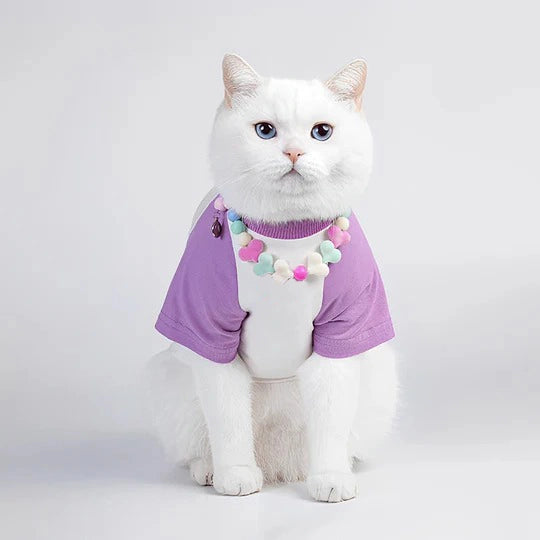 Acrylic Rainbow Candy Personalized Cat Collars 2