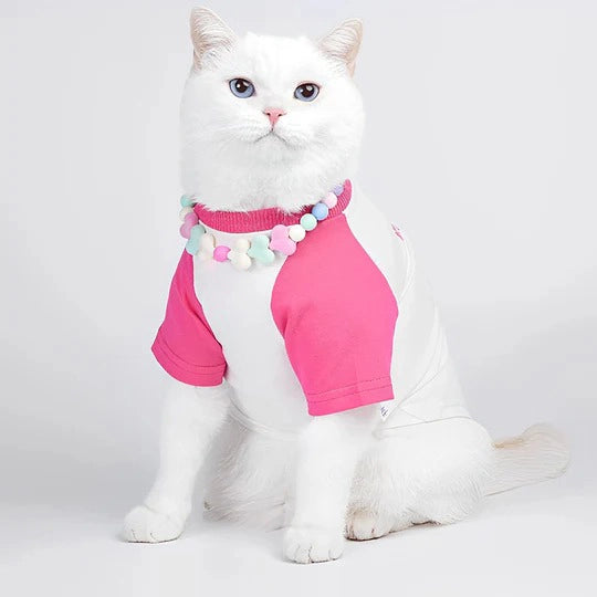 Acrylic Rainbow Candy Personalized Cat Collars 3