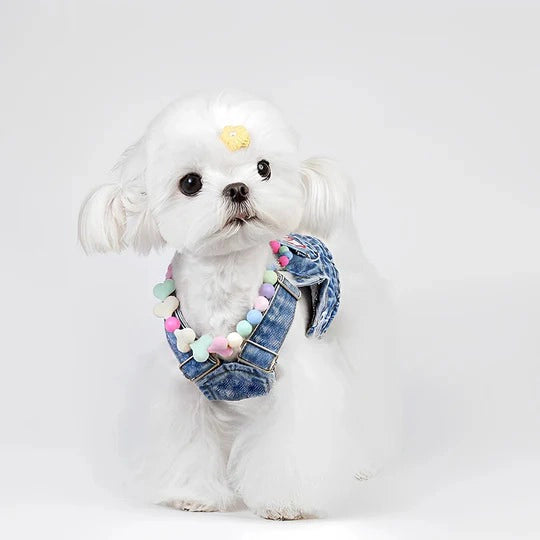 Acrylic Rainbow Candy Personalized Cat Collars 4