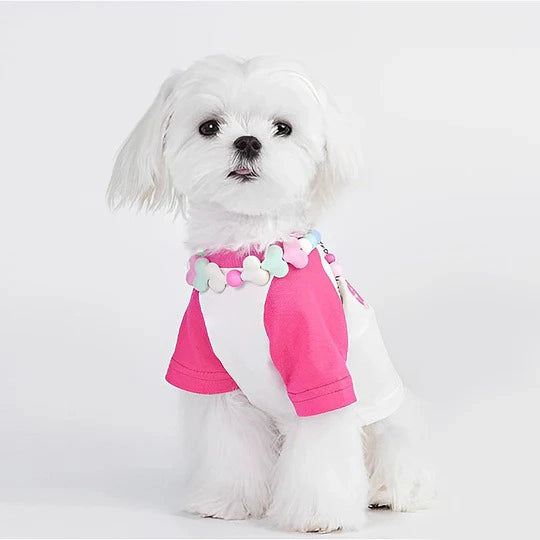 Acrylic Rainbow Candy Personalized Cat Collars 8