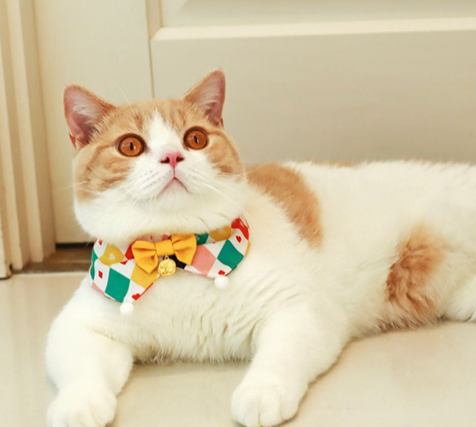 Adjustable Circus Style Cotton Cat Bow Tie petin