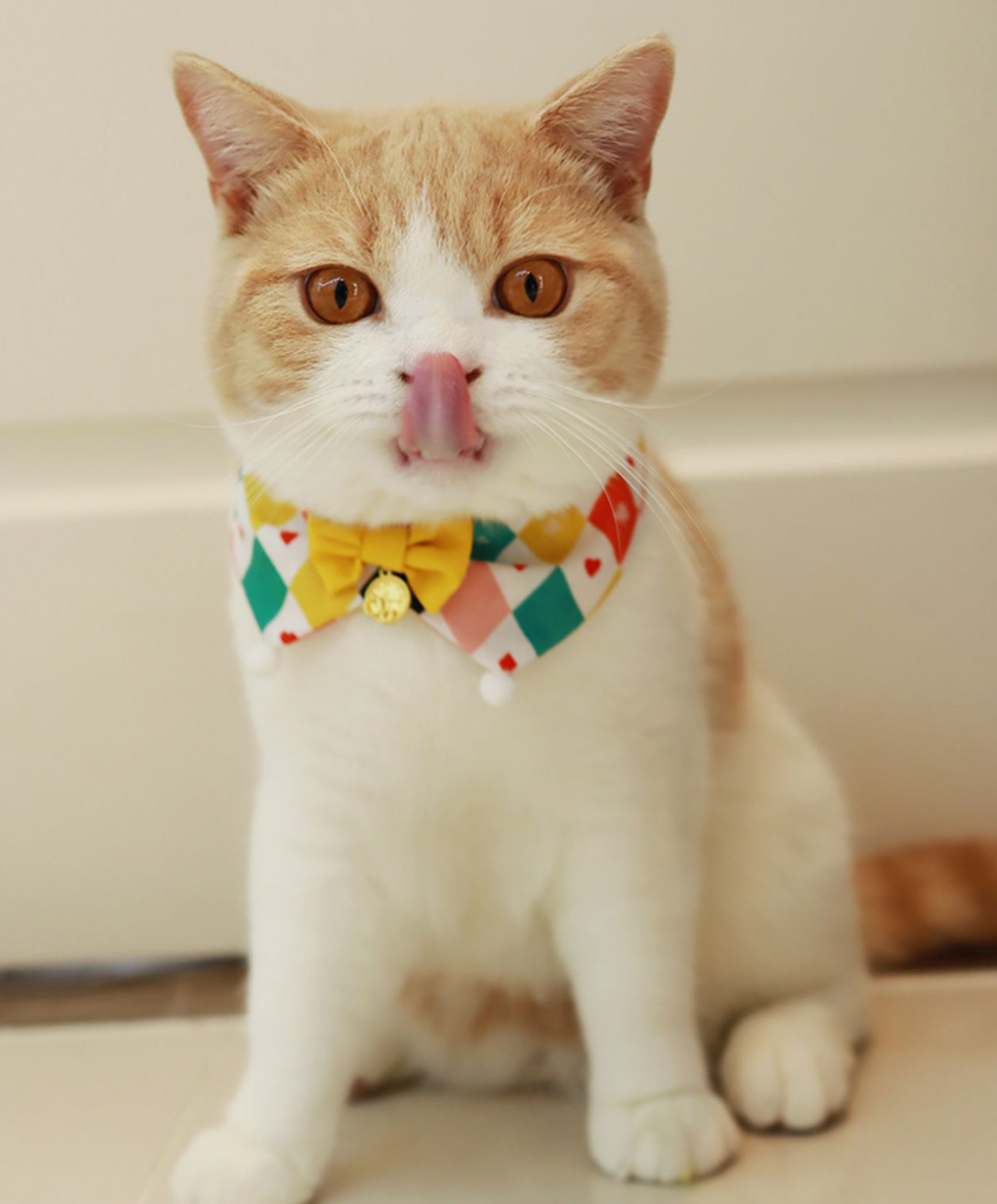 Adjustable Circus Style Cotton Cat Bow Tie petin