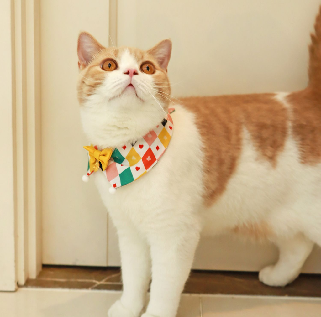 Adjustable Circus Style Cotton Cat Bow Tie petin