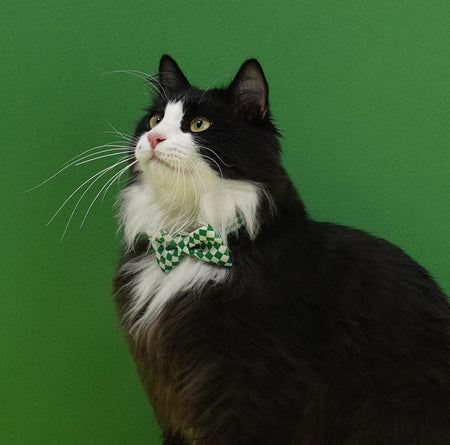 Adjustable Classic Plaid Cat Bow Tie petin