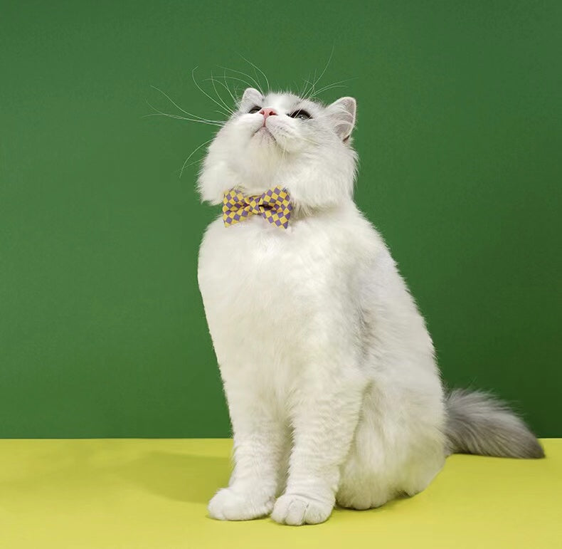 Adjustable Classic Plaid Cat Bow Tie petin